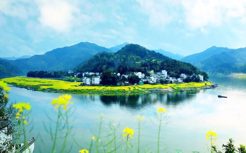 创新科技